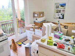 photo of kitchen with cat &amp; boxes